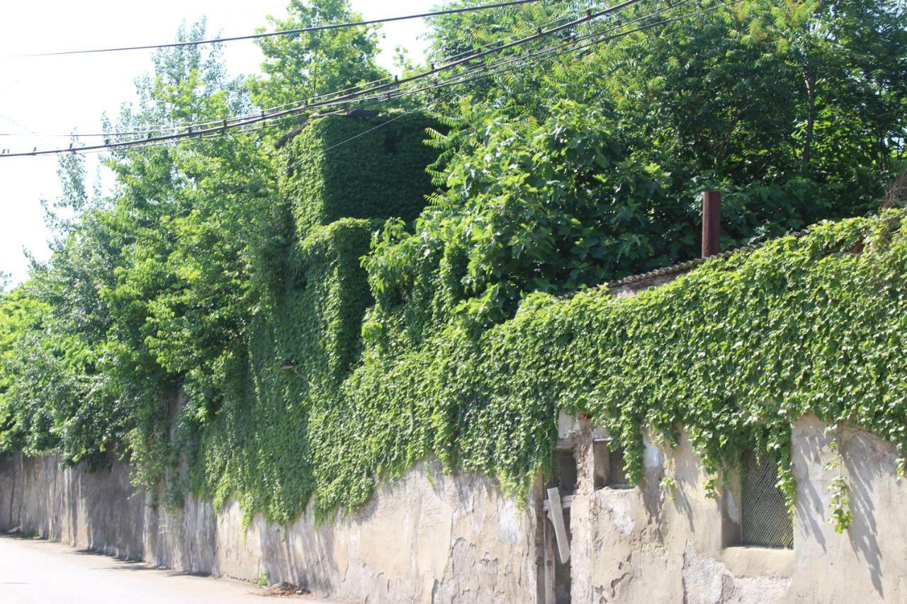 Hotel Zarzma Kutaisi Exterior foto